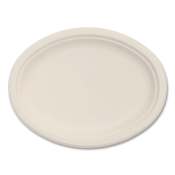 Compostable Molded Fiber Dinnerware, Platter, 10" Diameter, Natural, 500/Carton (DCC10FBRPLR1) Case of 500