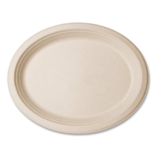 Nourish Molded Fiber Tableware, Compostable, Platter, Sugarcane, 8 x 10, White, 500/Carton (VEGVWP009NFA) Case of 500