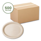 Nourish Molded Fiber Tableware, Compostable, Platter, Sugarcane, 8 x 10, White, 500/Carton (VEGVWP009NFA) Case of 500