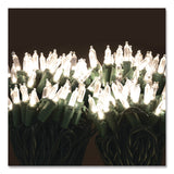 Global Printed Products Indoor/Outdoor LED Holiday String Lights, 60 Bulbs/String, 25 ft String, White/Green Wire, 2 Strings (GPUEGPHLGWWL) Each