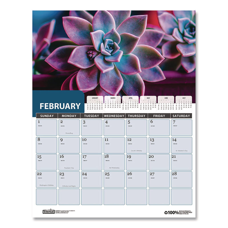 House of Doolittle™ Recycled Succulent and Cacti Wall Calendar, 14 x 11, Multicolor Sheets, 12-Month (Jan-Dec): 2026 (HOD317) Each