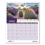 House of Doolittle™ Recycled Succulent and Cacti Wall Calendar, 14 x 11, Multicolor Sheets, 12-Month (Jan-Dec): 2026 (HOD317) Each
