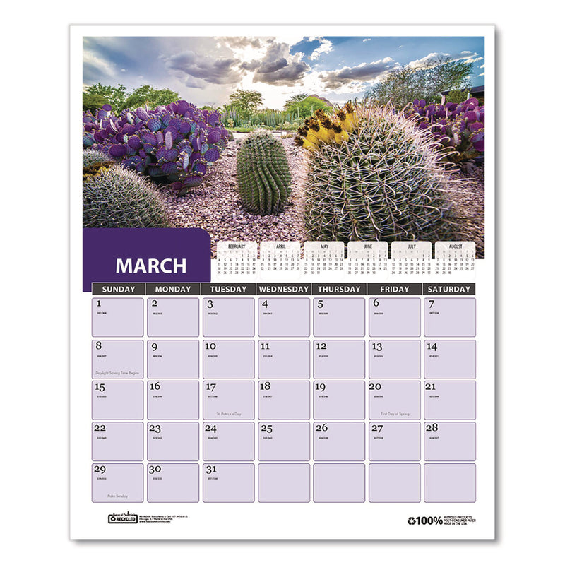 House of Doolittle™ Recycled Succulent and Cacti Wall Calendar, 14 x 11, Multicolor Sheets, 12-Month (Jan-Dec): 2026 (HOD317) Each