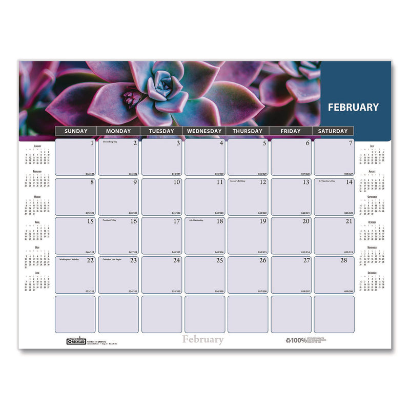 House of Doolittle™ Recycled Succulent and Cacti Desk Pad Calendar, 17 x 22, Multicolor Sheets, Black Corners, 12-Month (Jan to Dec): 2026 (HOD121) Each