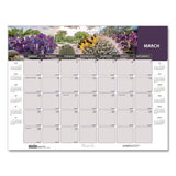 House of Doolittle™ Recycled Succulent and Cacti Desk Pad Calendar, 17 x 22, Multicolor Sheets, Black Corners, 12-Month (Jan to Dec): 2026 (HOD121) Each