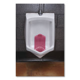 Vertical Urinal Screen, Spiced Apple Scent, Red, 5.22 oz, 6/Carton (BWKVERUSRD) Case of 6