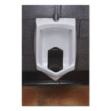 Vertical Urinal Screen, Midnight Coast Scent, Black, 5.22 oz, 6/Carton (BWKVERUSBK) Case of 6