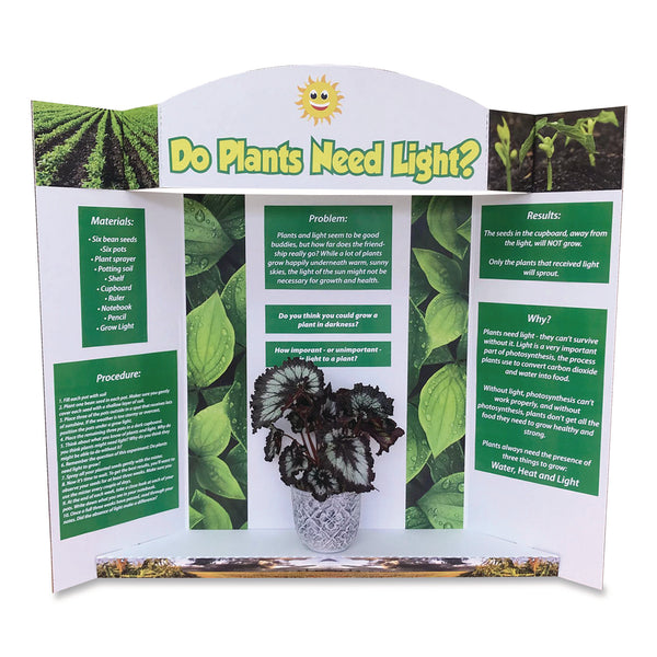 Royal Brites Stage It Display Board, 37" x 44", 1-Ply, Corrugate, White, 5/Pack (GEO27146) Each