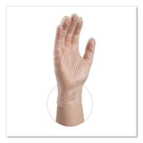 AMMEX® Professional Vinyl Exam Gloves, Powder-Free, Large, Clear, 100/Box (AXCVPF66100) Box of 100