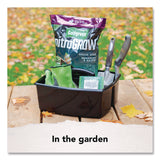 Storex Large Caddy, 13 x 11 x 6.38, Black, 6/Pack (STX00973E06C) Each