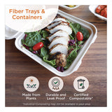World Centric® Fiber Catering Pans, 3 Compartments, 10.3 x 2.8 x 12.8, Paper, Natural, 200/Carton (WORCASC104TLLF) Case of 200