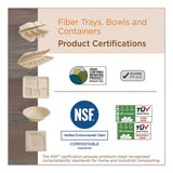World Centric® Fiber Catering Pans, 3 Compartments, 10.3 x 2.8 x 12.8, Paper, Natural, 200/Carton (WORCASC104TLLF) Case of 200