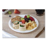 SCT® ChampWare Molded Fiber Tableware, Molded Fiber Plate, 9" dia, White, 125 Plates/Sleeve, 4 Sleeves/Carton (SCH18140WPF) Case of 500