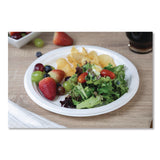 SCT® ChampWare Molded Fiber Tableware, Molded Fiber Plate, 10" dia, White, 125 Plates/Sleeve, 4 Sleeves/Carton (SCH18160WPF) Case of 500