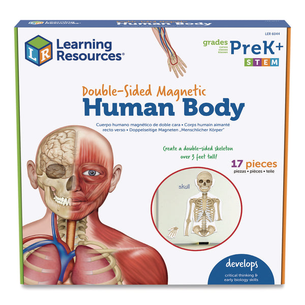 Learning Resources® Double-Sided Magnetic Human Body, Grades K to 5, English/Spanish, Assorted Colors, 17 Pieces (LRNLER6044) Each