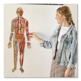 Learning Resources® Double-Sided Magnetic Human Body, Grades K to 5, English/Spanish, Assorted Colors, 17 Pieces (LRNLER6044) Each