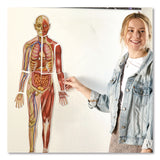 Learning Resources® Double-Sided Magnetic Human Body, Grades K to 5, English/Spanish, Assorted Colors, 17 Pieces (LRNLER6044) Each