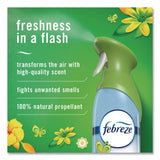 Febreze® AIR, Gain Original, 8.8 oz Aerosol Spray, 2/Pack (PGC17346PK) Pack of 2