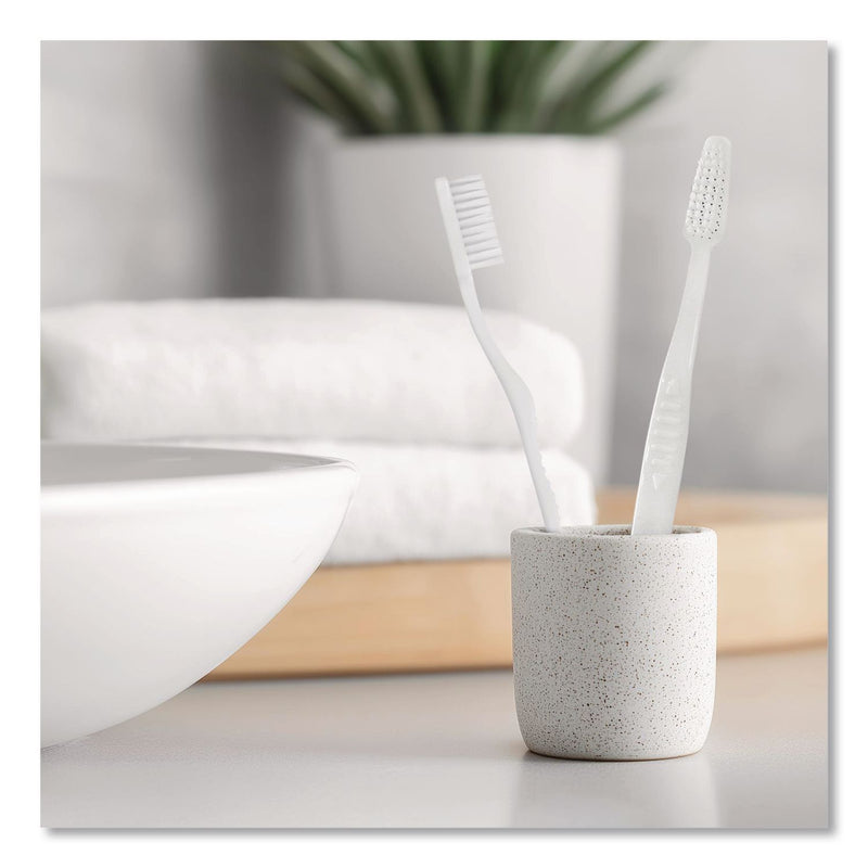 Boardwalk® Toothbrush, White, 144/Carton (BWKTBRUSHSF) Case of 144