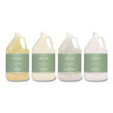 Diversified Hospitality Solutions Terra Pure Shampoo Gallon, Green Tea Lemongrass Scent, 1 gal Bottle, 4/Carton (DHS002287) Case of 4