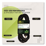GoGreen Power 16 AWG Outdoor Extension Cord, 25 ft, 13 A, Black (GGP13725BK) Each