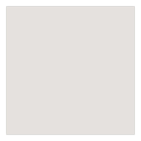Rust-Oleum® Touch'n Tone Spray Paint, Flat White, 10 oz Aerosol Can, 6/Carton (RST55280830) Case of 6