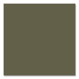 Rust-Oleum® Self Etching Primer, Flat Dark Green, 12 oz Aerosol Can, 6/Carton (RST249322) Case of 6