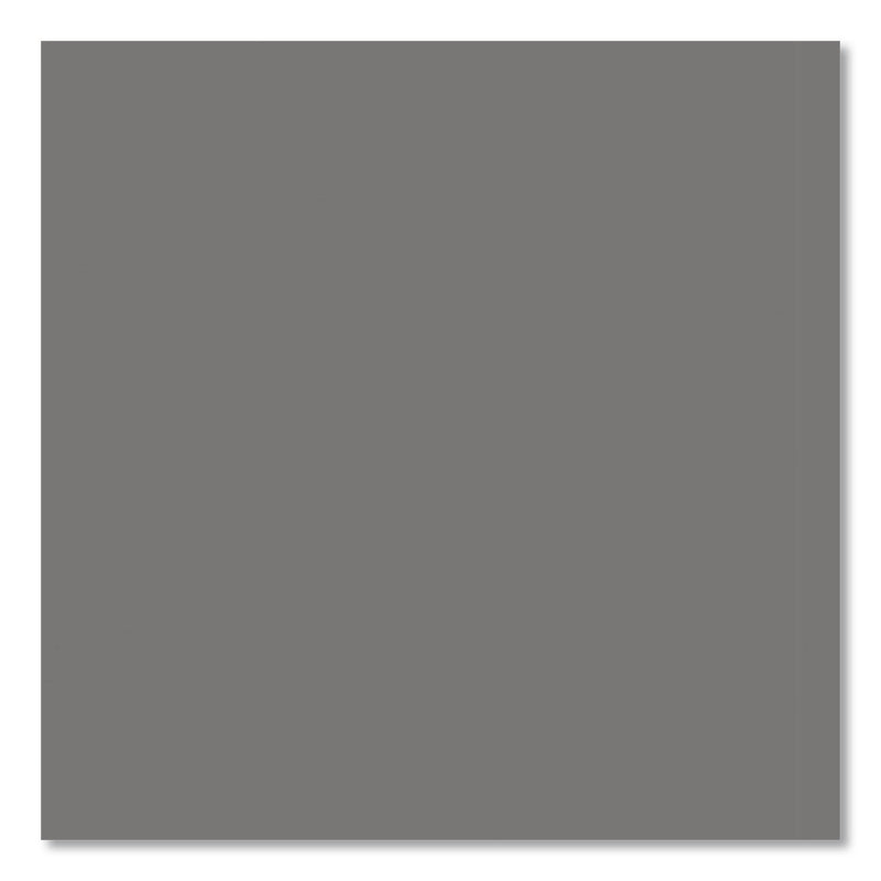 Rust-Oleum® Professional Spray Paint, Flat Gray, 15 oz Aerosol Can, 6/Carton (RST7582838CT) Case of 6