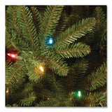 National Tree Company® Pre-Lit Natural Fraser Fir Tree, 60" x 60" x 90", Green Tree, Green Tree Stand (NTTNAFFMH175RLO) Each