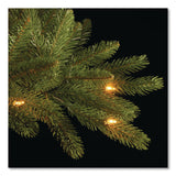 National Tree Company® Pre-Lit Grande Fir Medium Tree, 50" x 50" x 90", Green Tree, Green Tree Stand (NTTPEGF430775) Each