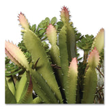 National Tree Company® Spring Potted Plant, 8" x 8" x 8", Green Plant, White Pot (NTTRASXF169W) Each