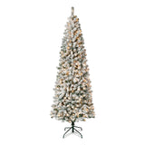 National Tree Company® Pre-Lit Acacia Medium Flocked Tree, 34" x 34" x 89", Green Tree, Green Tree Stand (NTTAC10030275F) Each