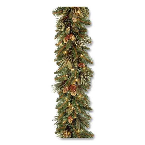 National Tree Company® Pre-Lit Carolina Pine Garland, AC Powered, Clear Incandescent Lights, 108" Long, Green (NTTCAP33069A1) Each