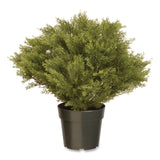 National Tree Company® Globe Juniper Topiary Tree, 20" x 28" x 20", Green Tree, Green Pot (NTTLCB828) Each
