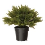 National Tree Company® Artificial Globe Juniper, 15" x 15" x 15", Green Plant, Green Pot (NTTLCB4151) Each