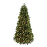 National Tree Company® Pre-Lit Jersey Fraser Fir Slim Tree, 43" x 43" x 78", Green Tree, Green Tree Stand (NTTPEJF130465) Each