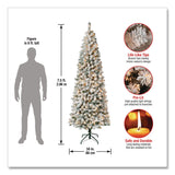 National Tree Company® Pre-Lit Acacia Medium Flocked Tree, 34" x 34" x 89", Green Tree, Green Tree Stand (NTTAC10030275F) Each