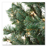National Tree Company® Pre-Lit Acacia Tree, 37" x 37" x 70.8", Green Tree, Green Tree Stand (NTTAC10030860) Each
