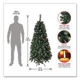 National Tree Company® Pre-Lit Acacia Tree, 37" x 37" x 70.8", Green Tree, Green Tree Stand (NTTAC10030860) Each