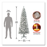 National Tree Company® Acacia Medium Flocked Tree, 34" x 34" x 88.5" Green Tree, Green Tree Stand (NTTAC10050275F) Each