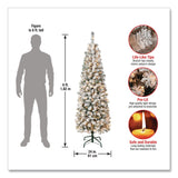 National Tree Company® Pre-Lit Acacia Flocked Slim Tree, 24" x 24" x 70.8", Green Tree, Green Tree Stand (NTTAC10030460F) Each