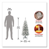 National Tree Company® Acacia Pencil Slim Flocked Tree, 21" x 21" x 53.1", Green Tree, Green Tree Stand (NTTAC10050445F) Each