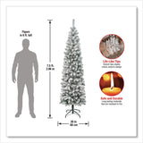 National Tree Company® Acacia Pencil Slim Flocked Tree, 26" x 26" x 88.5", Green Tree, Green Tree Stand (NTTAC10050475F) Each