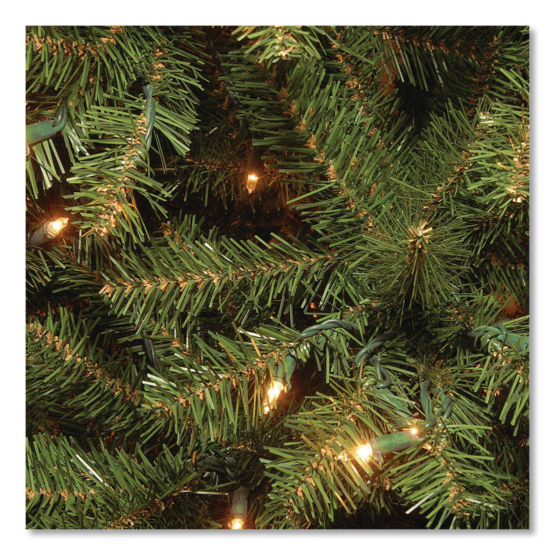 National Tree Company® Pre-Lit Aspen Spruce Slim Tree, 42" x 42" x 78", Green Tree, Green Tree Stand (NTTAP730065) Each