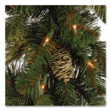 National Tree Company® Pre-Lit Carolina Pine Garland, AC Powered, Clear Incandescent Lights, 108" Long, Green (NTTCAP33069A1) Each