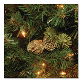 National Tree Company® Pre-Lit Carolina Pine Tree, 55" x 55" x 78", Green Tree, Green Tree Stand (NTTCAP330665) Each