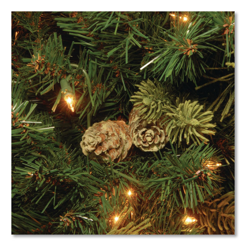 National Tree Company® Pre-Lit Carolina Pine Tree, 55" x 55" x 78", Green Tree, Green Tree Stand (NTTCAP330665) Each