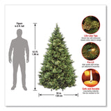 National Tree Company® Pre-Lit Carolina Pine Tree, 55" x 55" x 78", Green Tree, Green Tree Stand (NTTCAP330665) Each