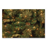 National Tree Company® Pre-Lit Carolina Pine Tree, 58" x 58" x 84", Green Tree, Green Tree Stand (NTTCAP330670) Each