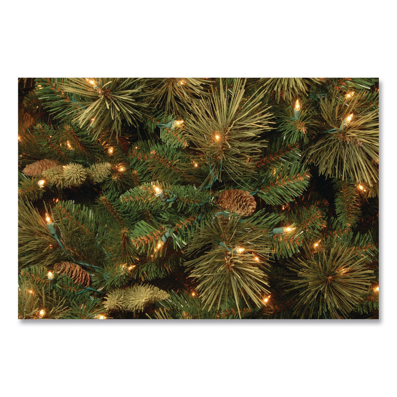 National Tree Company® Pre-Lit Carolina Pine Tree, 58" x 58" x 84", Green Tree, Green Tree Stand (NTTCAP330670) Each